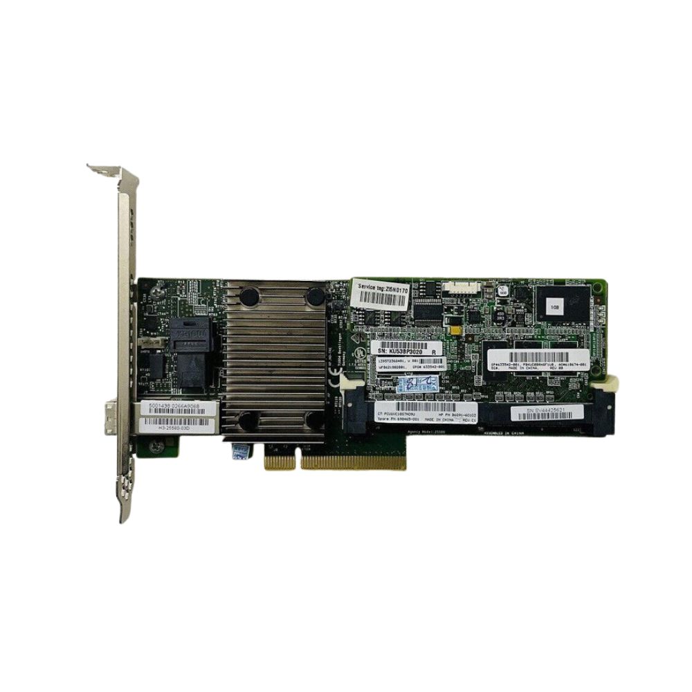 698465-001 | HPE P1224 4I/4E RAID 1GB FBW Cache