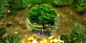 Reciclar equipamiento
